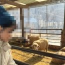 숲튜디오 이미지