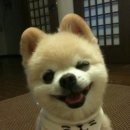 경희사 이미지
