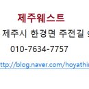 제주웨스트 이미지