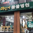 디엔씨 동물병원 이미지