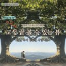 부여(사비)-01 | 고생 끝에 볼 수 있는 뷰, 충남 부여 성흥산 사랑나무