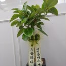 에이플러스잉글리쉬