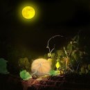 달과 시와 노래 (8) - 김태오와 나운영의 ＜달밤＞ 이미지
