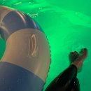 제주하도 이미지