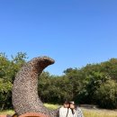 용호기사식당 | 엄마와 함께하는 대만 가오슝 효도여행, 12월 가오슝 여행 (1) 브리오호텔, JJ택시투어 후기