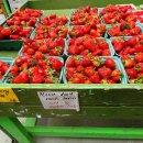 작은농원 이미지