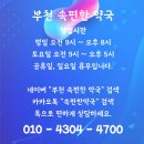 속편한동물약국 이미지