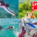 중부낚시터 | 필리핀 세부 3박5일 여행 호핑투어 일정 비오비투어