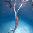 (주)다이브엑스알 | 고고다이브 프리다이빙/ 초급 1강, 코칭반 후기