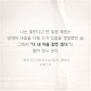 월드중고타이어 이미지