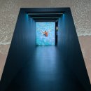 이국정서 | 신작 300여점과 함께 돌아온 2025 요시고 사진전 2 그라운드시소 센트럴 취향저격 관람 후기