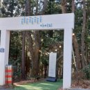 럭키사 | 부산 아이리 카페 금정산성 커피까지 맛있는 최고의 숲속 카페