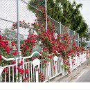 서원마을경로당 이미지