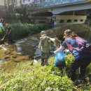 수원천로 이미지