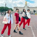 2025 6월 시티투어 이미지