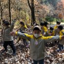 금란어린이집 이미지