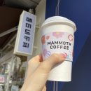 매머드익스프레스 디카페인 아메리카노 가격, 맛 :: 대치동 가성비 커피 삼성역 가성비카페 매머드커피