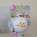 신우덴탈 이미지