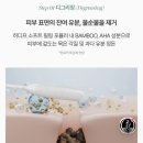 [hidiff] 히디프 로얄클린키트 내돈내산 후기