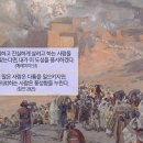 (주)샬롬 이미지