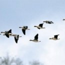 데이브좋은영상협동조합 이미지