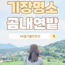 사상근린공원
생태주차장 이미지