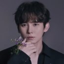리즈컴퍼니 이미지