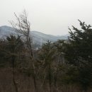 삼중목장 Daum카페
