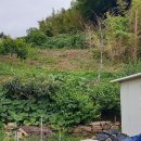 남해-309 이미지