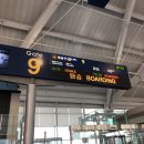 🇯🇵일본 오사카여행/간사이 공항/난바/우메다/돈키호테/오사카 쉑쉑버거/헵파이브 관람차/이치란 라멘...