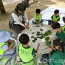 파주시유아숲체험원 이미지