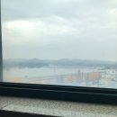 나를품개 이미지