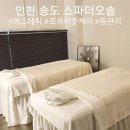 더만족 | 인천송도에스테틱 스파더오솔 등관리 만족후기