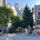 경찰병원.KT가락지사 이미지