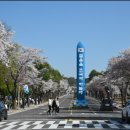 송백로-2 이미지