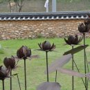 브레인웨어 이미지