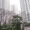 고척성모의원 이미지