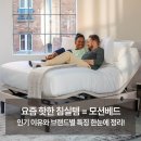 모션케어 | 모션베드, 왜 지금 주목받고 있을까? 인기 이유부터 브랜드 추천까지