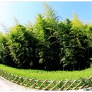 우주의료기 이미지