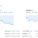 에쓰씨푸드 이미지