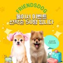 도그 프렌즈 이미지