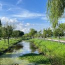 삼락생태공원 이미지