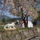 의풍분교온달캠핑장 이미지