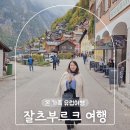 미스터 (mr.)짱닭치킨 | 잘츠부르크 자유여행 잘츠부르크 중앙역 맛집 미스터웬