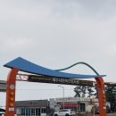 민속향 | 제주 시장 5일장 감성 제대로 느끼는 제주시 민속오일시장 솔직후기