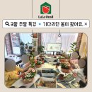 그림책 원예 활동 | 광주전남 그림책원예활동ㅣ 키즈 원예 원데이클래스ㅣ3월 특강: 봄꽃 가드닝 체험수업 원예 치유