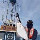 생활낚시가