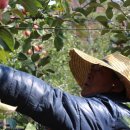 정일품농장 이미지