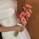 부산 범일꽃시장 자유도매시장 웨딩촬영 셀프 부케 (봄봄플라워-위치,가격,촬영후기)