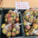 홍산농장 | 신초_ 전주 신시가지 무인 과일가게 후기 (맛, 가격 등)